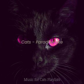 Download track Comforting (Kittens) Music For Cats Playlists