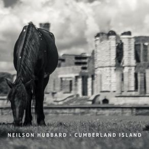 Download track Cumberland Island Neilson Hubbard