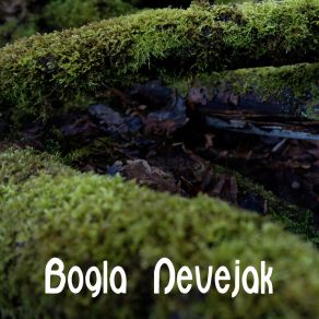 Download track The Last Mannerisms Bogla Nevejak