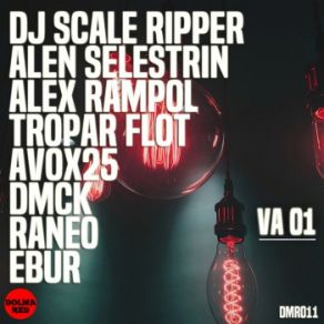 Download track Gravatar (Original Mix) Dj Scale Ripper, Tropar Flot