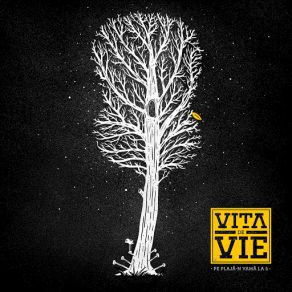 Download track Pe Plaja-N Vama La 5 Vita De Vie