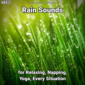 Download track New Age Rain Sounds For Elevators Nature Sounds