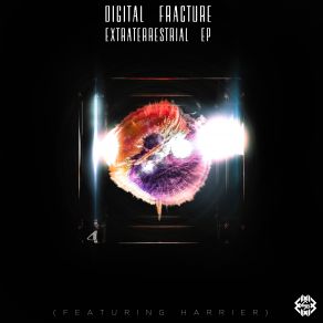 Download track Discovery Digital Fracture