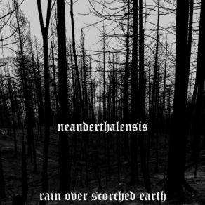 Download track Pity Is The Worst Thing You Can Give Someone Neanderthalensis