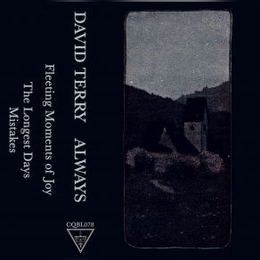 Download track Fleeting Moments Of Joy David Terry