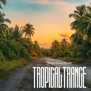 Download track Serene Melody Bossa Nova Musik