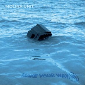 Download track In Swimming Pool Molina Unit