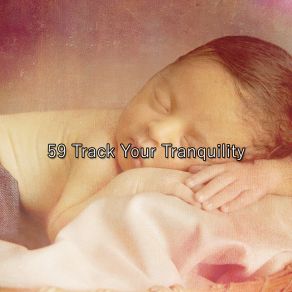 Download track Sleep Party Sounds Of Nature Relaxation