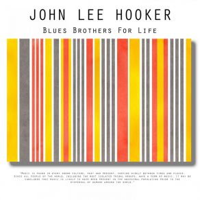 Download track I Rolled And Turned And Cried The Whole Night Long John Lee Hooker