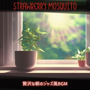 Download track Early Solitude Strawberry Mosquito