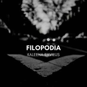 Download track Divides Kaleena Ravilus