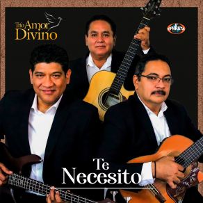 Download track Bueno Es Alabarte Trio Amor Divino