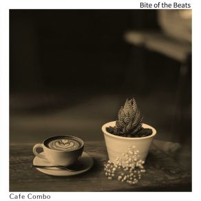 Download track Sunshine In Your Eyes Cafe Combo