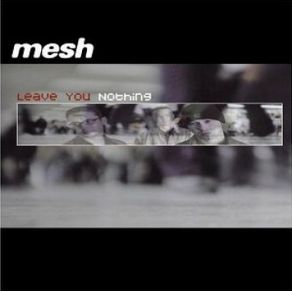 Download track Leave You Nothing (Radio Edit)  Mesh