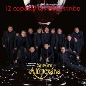 Download track Frente A Una Copa De Vino (Cover) Sonora Altepexana