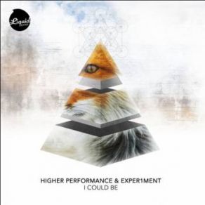 Download track I Could Be High Performance, Exper1menT