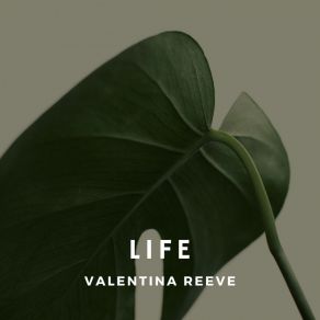 Download track All The Time Valentina Reeve