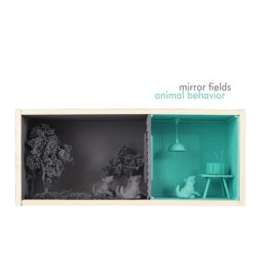 Download track Phantom Mirror Fields