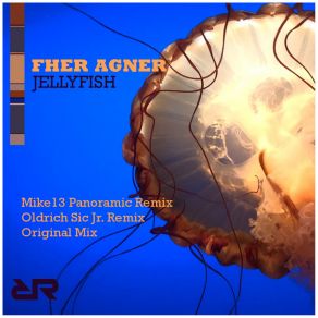 Download track Jellyfish (Mike13 Panoramic Remix) Fher AgnerMike13