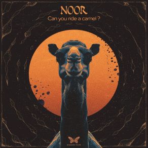 Download track Puzzled Noor