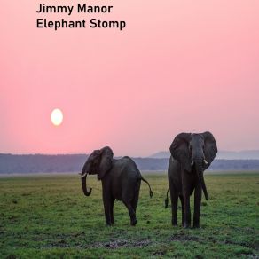 Download track Beware Of The Poachers Jimmy Manor