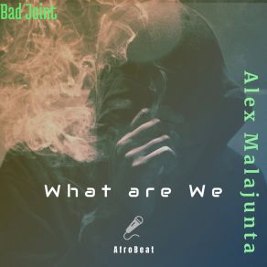 Download track What Are We Alex MalaJunta