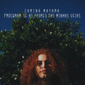 Download track Semente De Cacto Carina Mayara