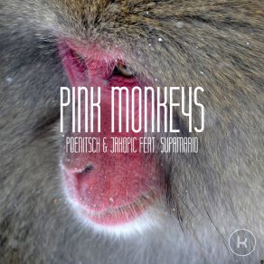 Download track Pink Monkeys (Tekstasy Remix) Poenitsch & JakopicSupaMario