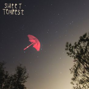 Download track From The Night Sweet Tempest