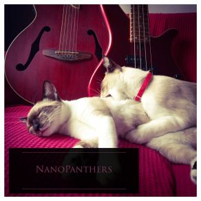 Download track Echoes Of Yesterday NanoPanthers