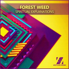 Download track Spiritual Explanations (Original Mix) Forest Weed