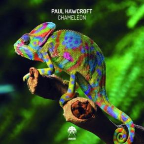 Download track Chameleon (Matt Black Remix) (Matt Black) Paul HawcroftMatt Black