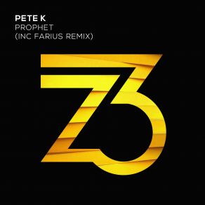 Download track Prophet (Farius Remix) Pete K