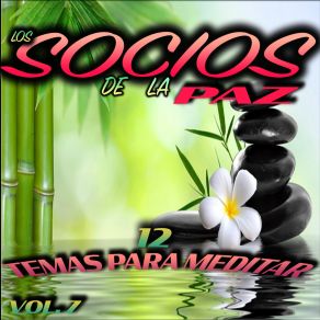 Download track Viento De Noche Los Socios De La Paz