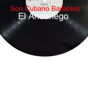 Download track Sufro Por Tu Amor El Andariego