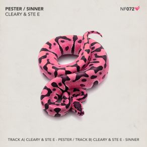 Download track Pester (Original Mix) Cleary, Ste E