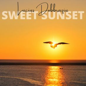 Download track Sweet Sunset Lucius Dobbraziu