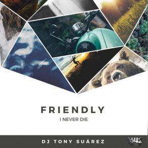 Download track Friendly (Instrumental Mix) DJ Tony Suarez