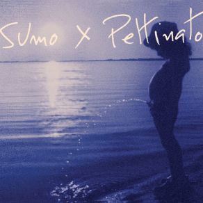 Download track El Ojo Blindado SumoXPettinato