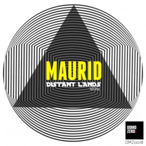 Download track Distant Lands 432Hz (Original Mix) Maurid