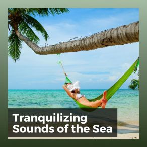 Download track Remarkable Ambiance Of The Beach ASMR Earth