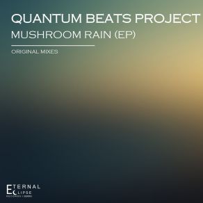 Download track Revival Of The Phoenix (Original Mix) Quantum Beats Project