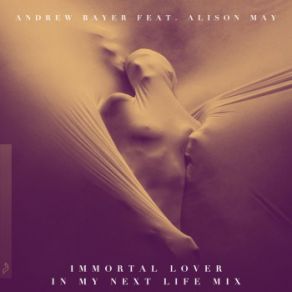 Download track Immortal Lover (In My Next Life Mix) Andrew Bayer, Alison May