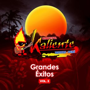 Download track Mi Venganza Orquesta Kaliente De Iquitos