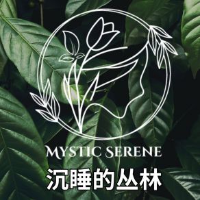 Download track 森林清晨 Mystic Serene