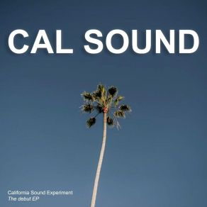 Download track Run Free California Sound Experiment