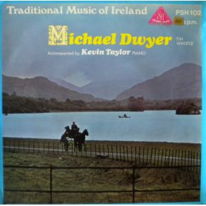 Download track Richard Dwyer'S / Seán Sa Cheo [Reels] Michael Dwyer