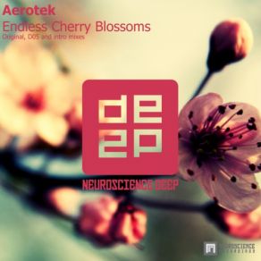 Download track Endless Cherry Blossoms (Intro Mix) Aerotek