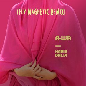 Download track Habib Galbi (Fly Magnetic Remix) [INSTRUMENTAL] A-Wa