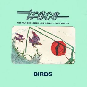 Download track Birds - Live Trace